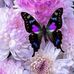 Jill Reimer - Facebook
