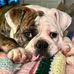 Jill Renninger - Facebook