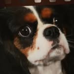 Jill Roach - @dottyaboutdotty - Instagram