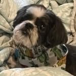 Jill Roach - @jillroach1959 - Instagram