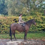 Jill Robinson - @jill.robinson.5492 - Instagram