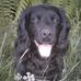Jill Robson - Facebook
