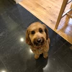 Jill Rowley - @jfarm66 - Instagram