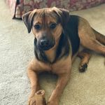Jill Rowley Schuricht - @jillschuricht - Instagram