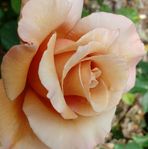Jill Rule - Facebook