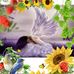 Jill Runkel - Facebook