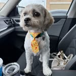 Jill Brudigan Sabol - @jillbrudigansabol - Instagram