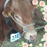 Jill Sandvig - @beanzy53 - Instagram