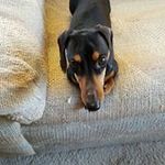 Jill Schafer - @schaferjill - Instagram