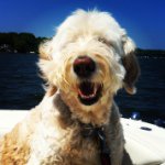 Jill Schafer - @captjillybeans - Instagram