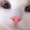 Jill Schmid - @jillschmid8906 - TikTok