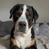 jillschmidt367 - @jillschmidt367 - TikTok