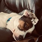 Jill Welsh-Schrader - @jillianrosel - Instagram