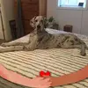 jillschoth - @jillschoth - TikTok
