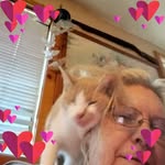 Jill-Scribner Cohan - @cohanj - Instagram