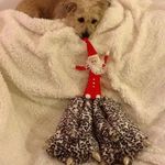 Jill Seaton - @jill.seaton.37 - Instagram