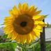 Jill Seaton - Facebook