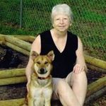 Jill Shank Hooten - @j_hooten_ - Instagram