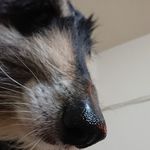 Shao Jill - @shao_jill_shelly_pri_leon - Instagram