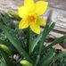Jill Ujobai Shull - Facebook