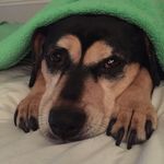 Jill Sievers - @jillsie67 - Instagram