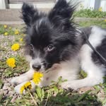 Jill Silversoul - @jillsilversoul - Instagram