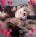 Jill Simms - Facebook