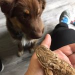 Jill Simms Belanger - @jill_simms_belanger - Instagram
