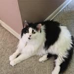 Jill Slack-Nay - @jill.slack.nay - Instagram