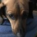 Jill Slocum - Facebook