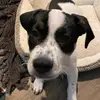 Jill smith - @jill.smith79 - TikTok