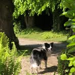 Jill Smith - Facebook
