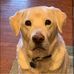 Jill Spaulding - Facebook