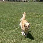 Jill Speer - @jillybeansd4 - Instagram