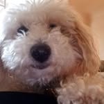 Jill Speer - @jillespeer - Instagram