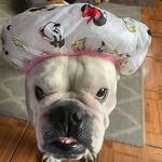 Jill Speers - @jill.speers.3 - Instagram