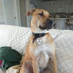 Jill Williams Staggs - @jillwilliamsstaggs - Instagram
