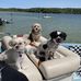 Jill Cook-Still - Facebook