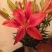 Jill Stock - Facebook