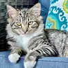 Jill Stockdale - @jill.stockdale - TikTok