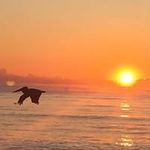 Jill Strode - @jillastrode - Instagram