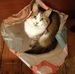 Jill Stroud - Facebook