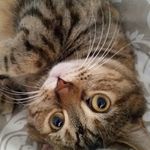 Jill Stroud - @toxteth69 - Instagram