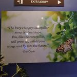 Jill Stuckey - @jillbevanstuckey - Instagram