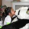 jillian suarez - @jillian.suarezzz - TikTok