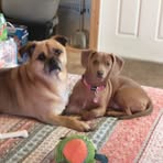 Jill Gentry Tedder - Facebook
