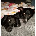 Joal Tedder - Facebook