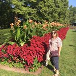 Jill Tepper Turgeon - @jtepturg - Instagram
