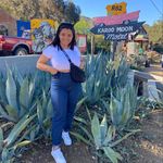 Jill Tashneen Thorpe - @jilltashneen - Instagram