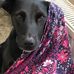 Jill Thorpe - Facebook